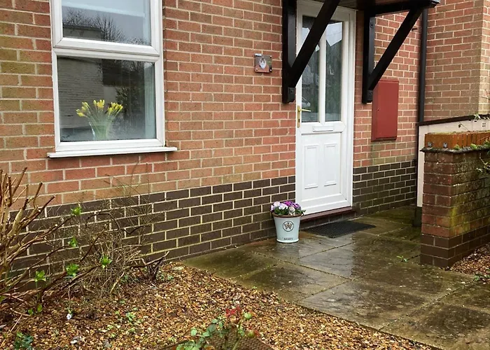 Cat Court