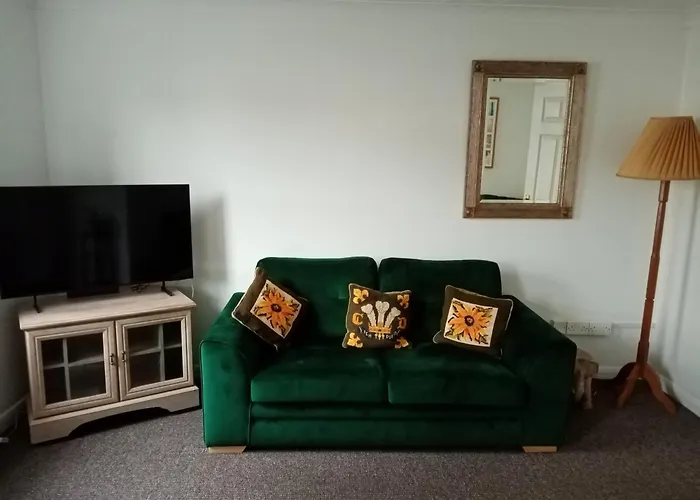 Cat Court
