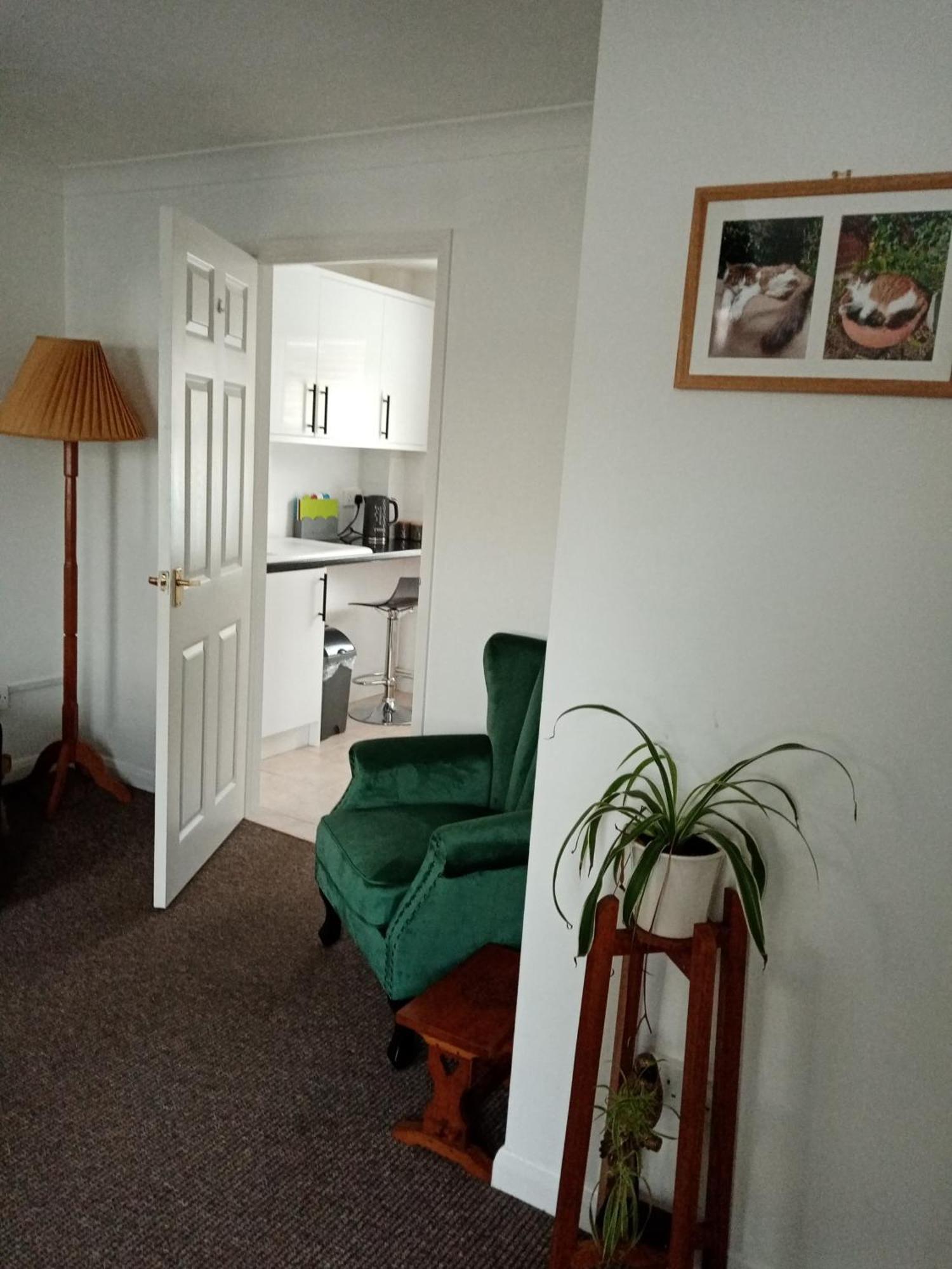 Cat Court Apartment